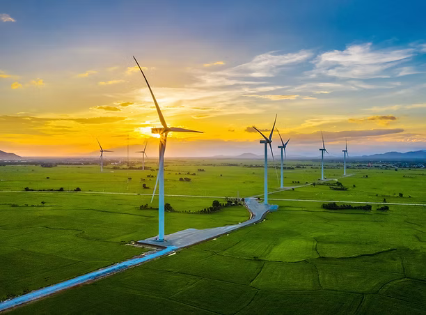 Sustainability and Environmental Awareness