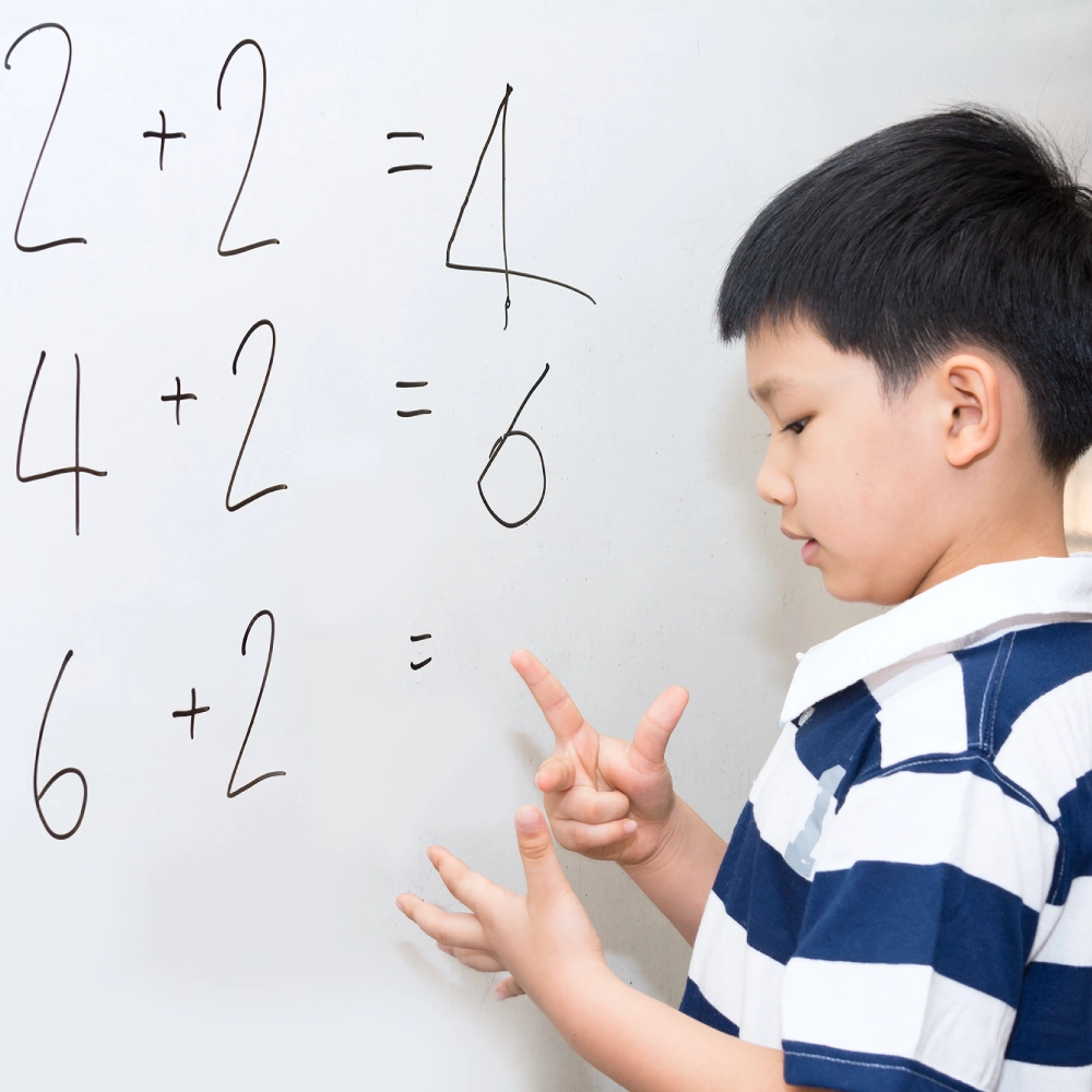 Mathematics at Wise Owl