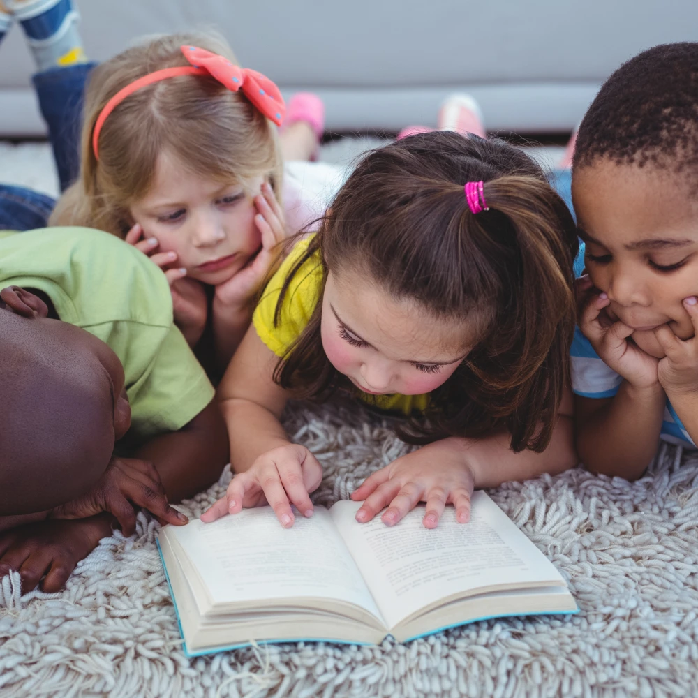 Language Arts at Wise Owl